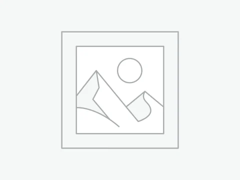 Bạc đạn bánh đà hộp số